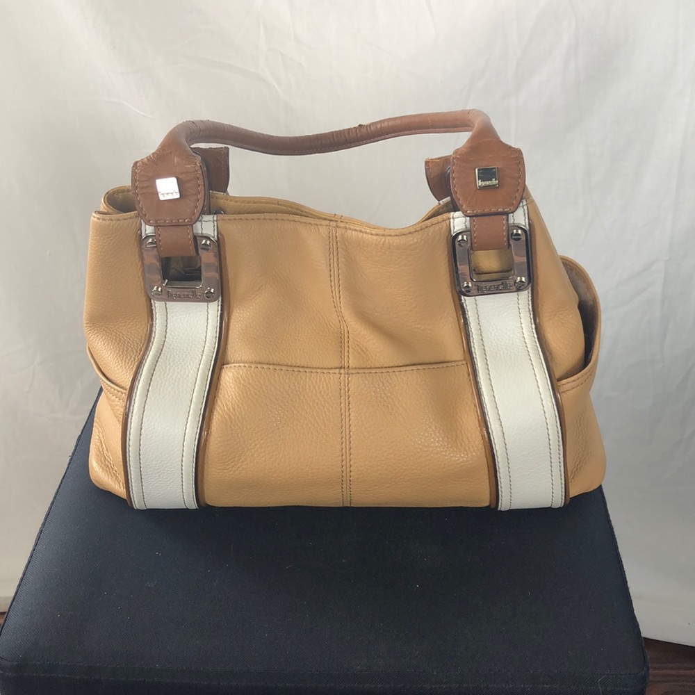 Tignanello Purse